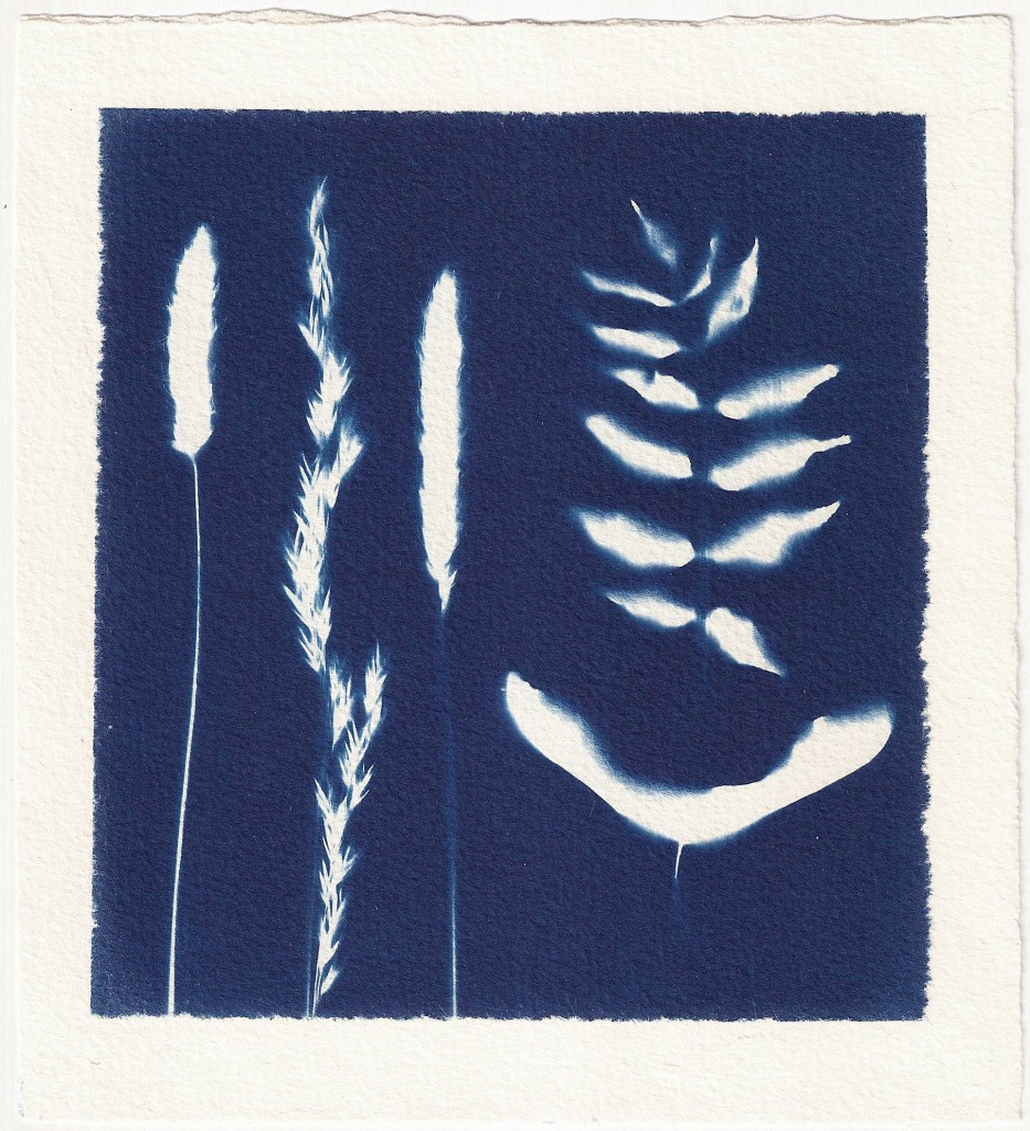 page one blue website